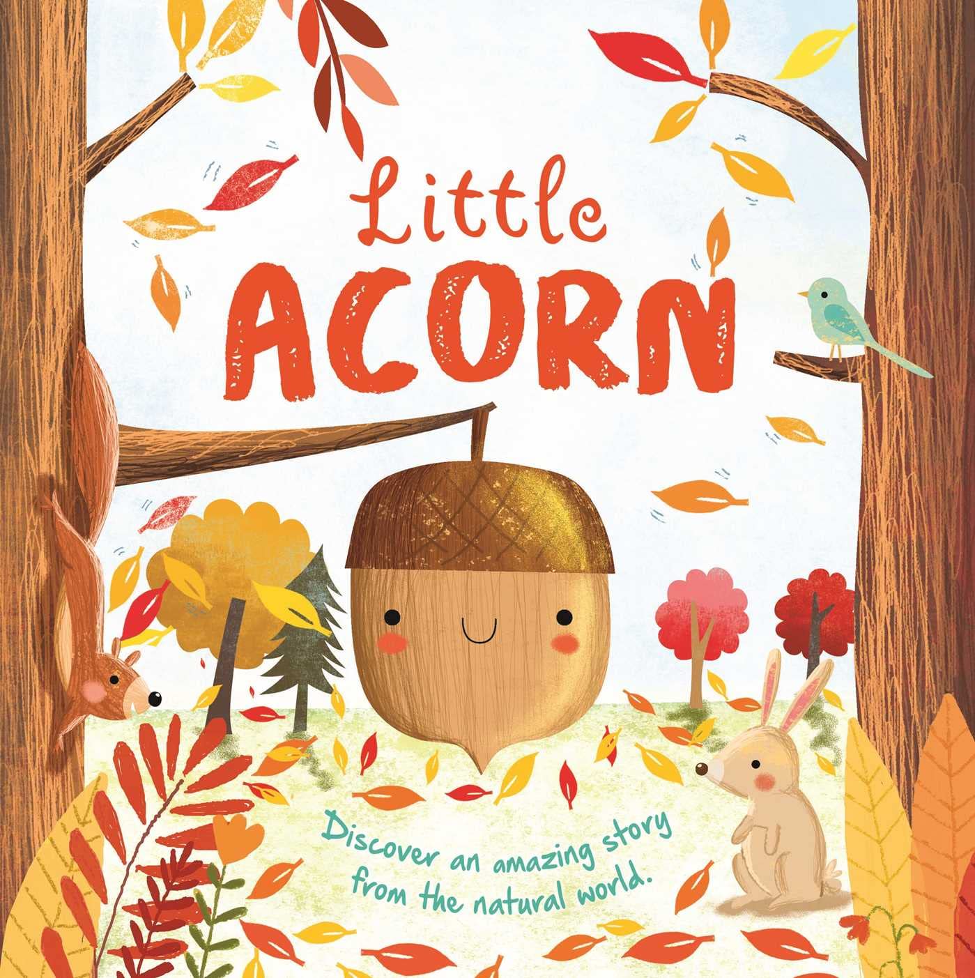 Little Acorn